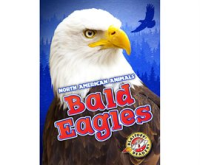 Bald_Eagles